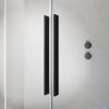 Radaway Furo Black SL kabina Walk-in 100x200cm lewa czarny mat/szkło przejrzyste 10306538-54-01L/10110494-01-01